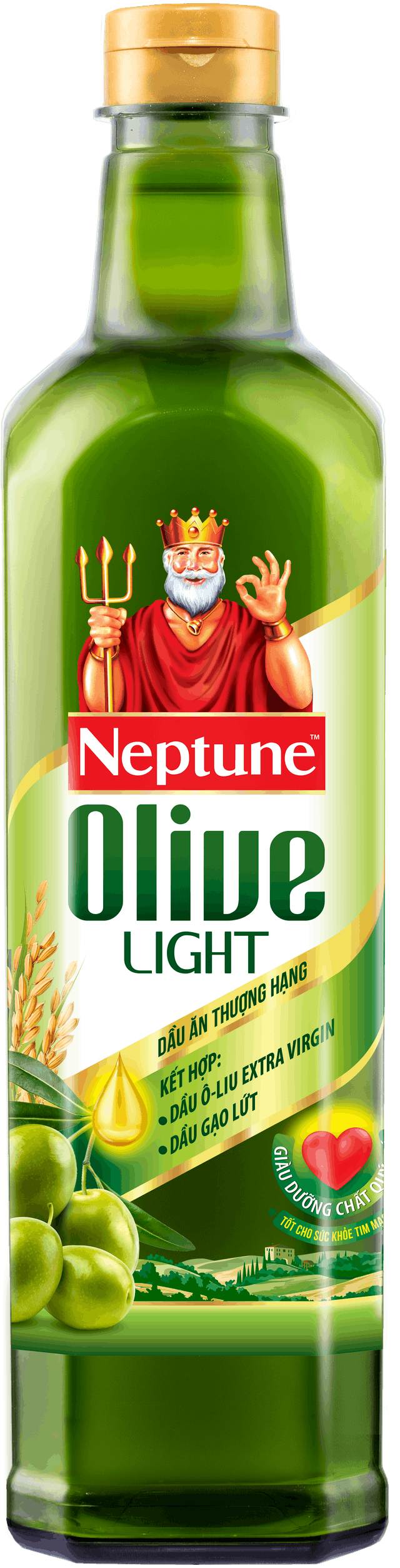 Dầu ăn thượng hạng NEPTUNE Olive Light chính hãng Neptune